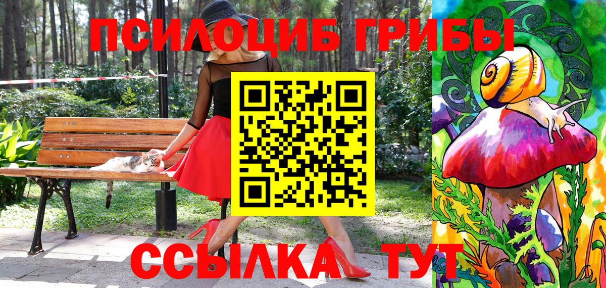 Псилоцибиновые грибы мицелий  Вход с VPN  Дедовск  Псилоцибиновые грибы мицелий 
