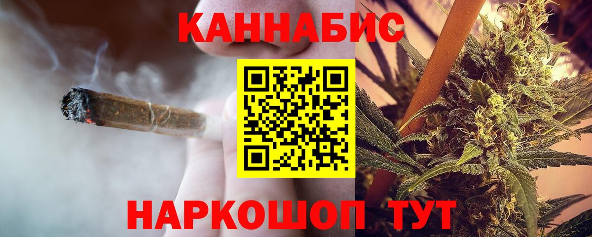 Конопля планчик Дедовск